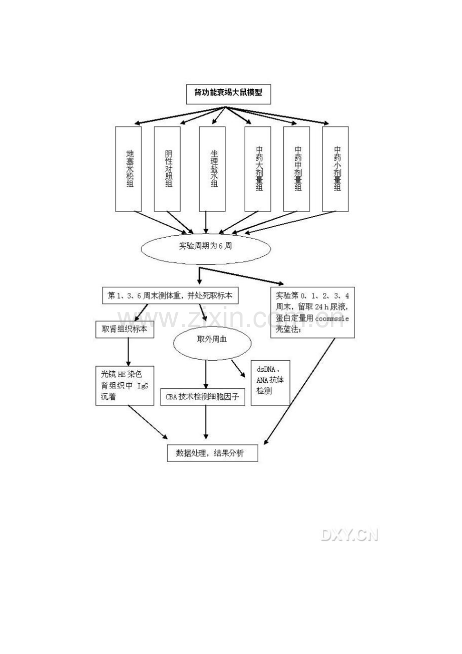 国家自然科学基金申请标书的技术路线图10个-简单就是美.doc_第2页