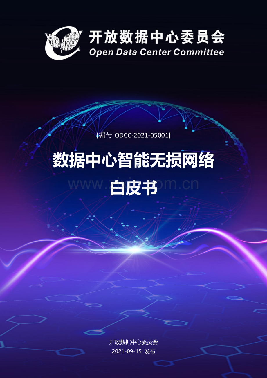 数据中心智能无损网络白皮书.pdf_第1页