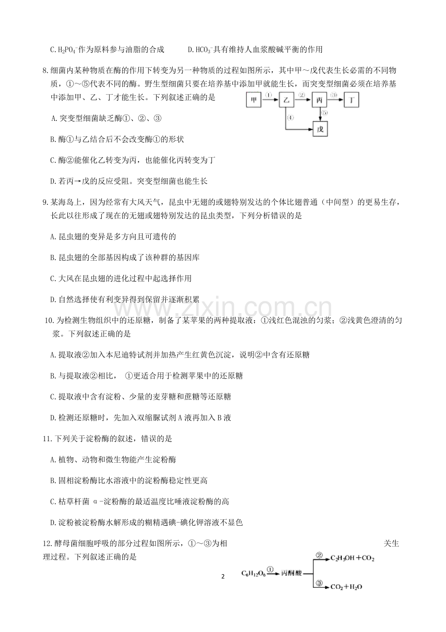 2020年1月浙江省选考科目生物试题及参考答案.pdf_第2页