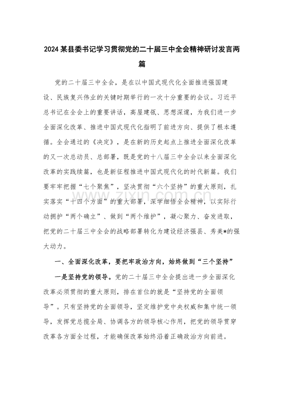 2024某县委书记学习贯彻党的二十届三中全会精神研讨发言两篇.docx_第1页