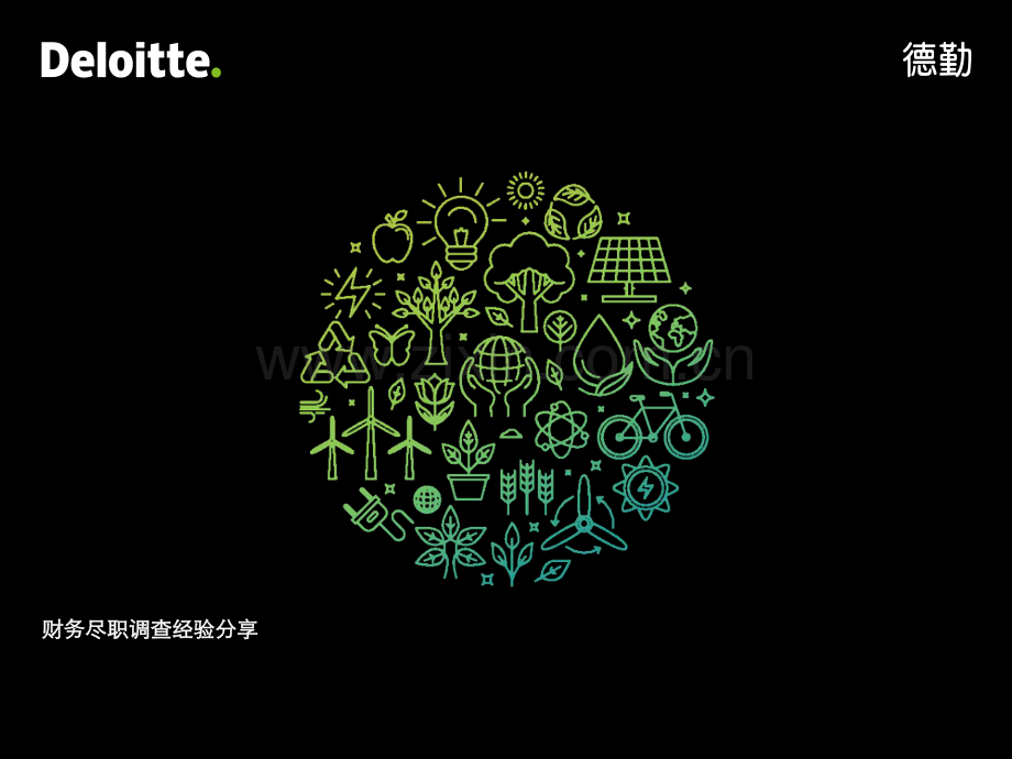 财务尽职调查和舞弊案例.pdf_第1页