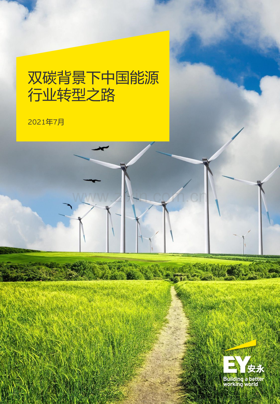 双碳背景下中国能源行业转型之路.pdf_第1页