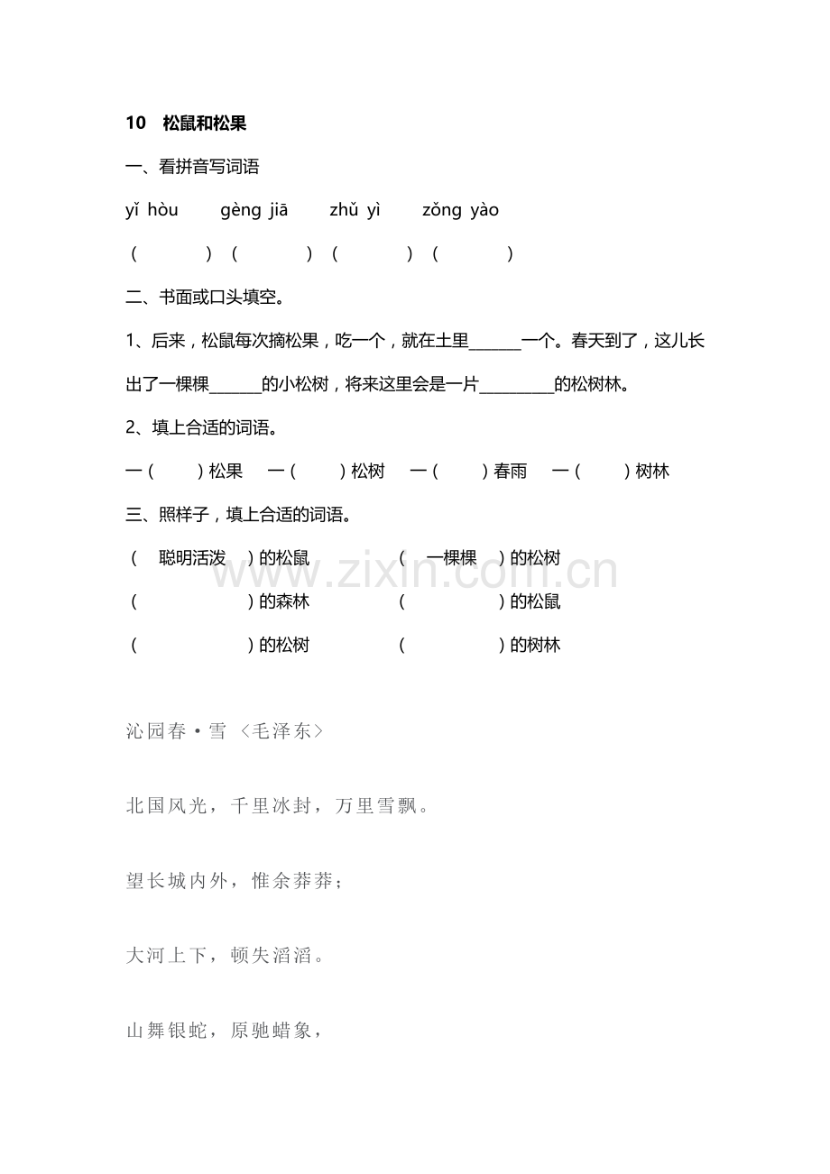 松鼠和松果练习题.doc_第1页