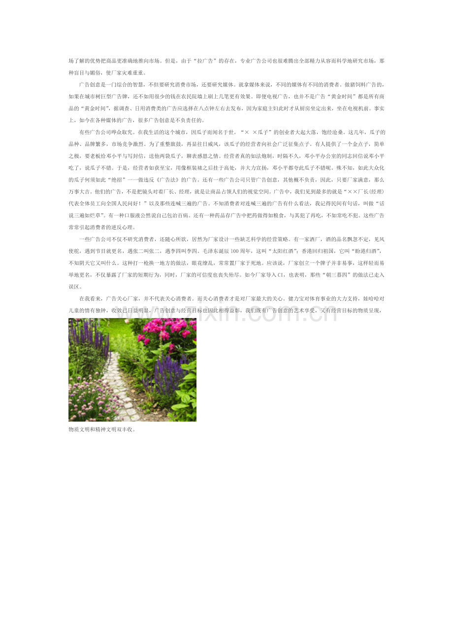 产品广告表现与企业绩效收益---副本.doc_第2页