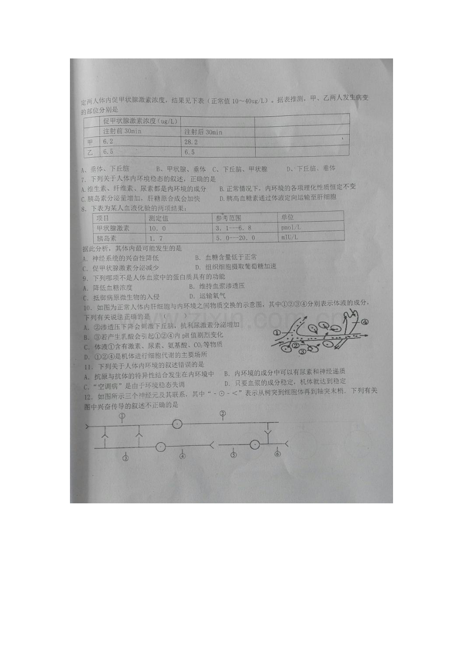 湖北省枣阳市2015-2016学年高一生物下册期中考试题.doc_第2页