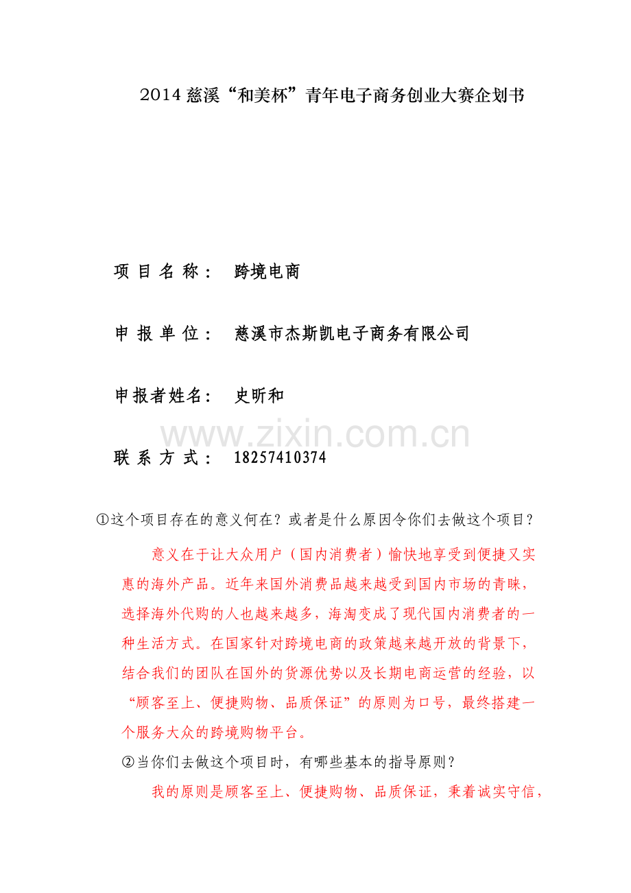 跨境电商初步发展计划.doc_第1页