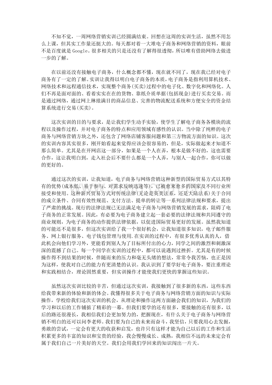 网络营销实训心得体会.doc_第2页