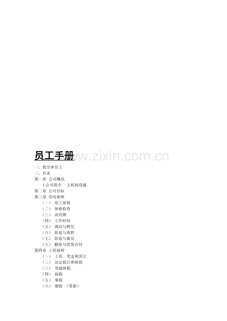 IT员工手册.doc_第1页