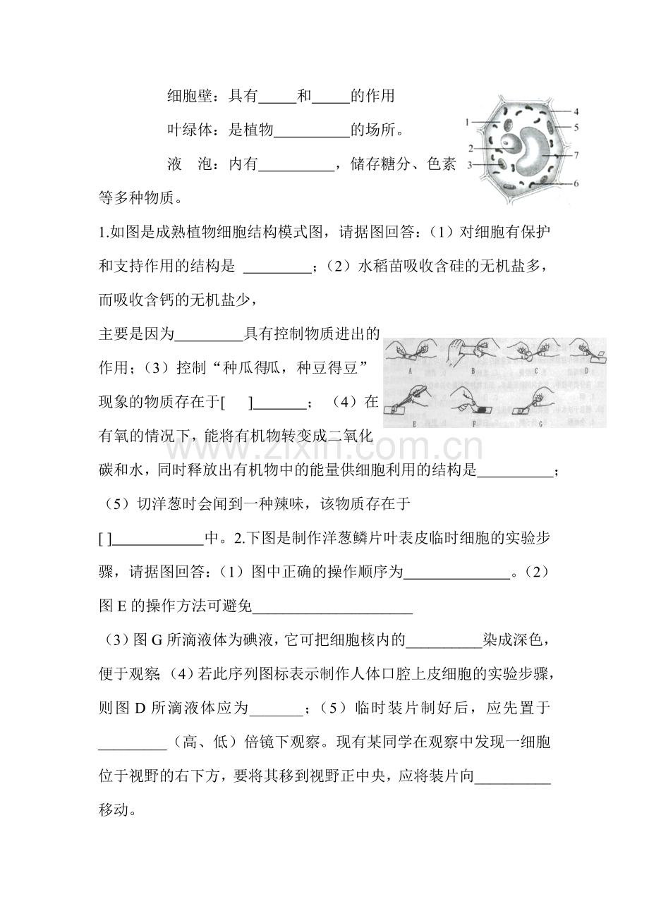 生物体的结构层次练习题7.doc_第2页