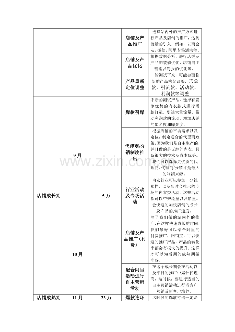 内衣电子商务全年运营计划.doc_第2页