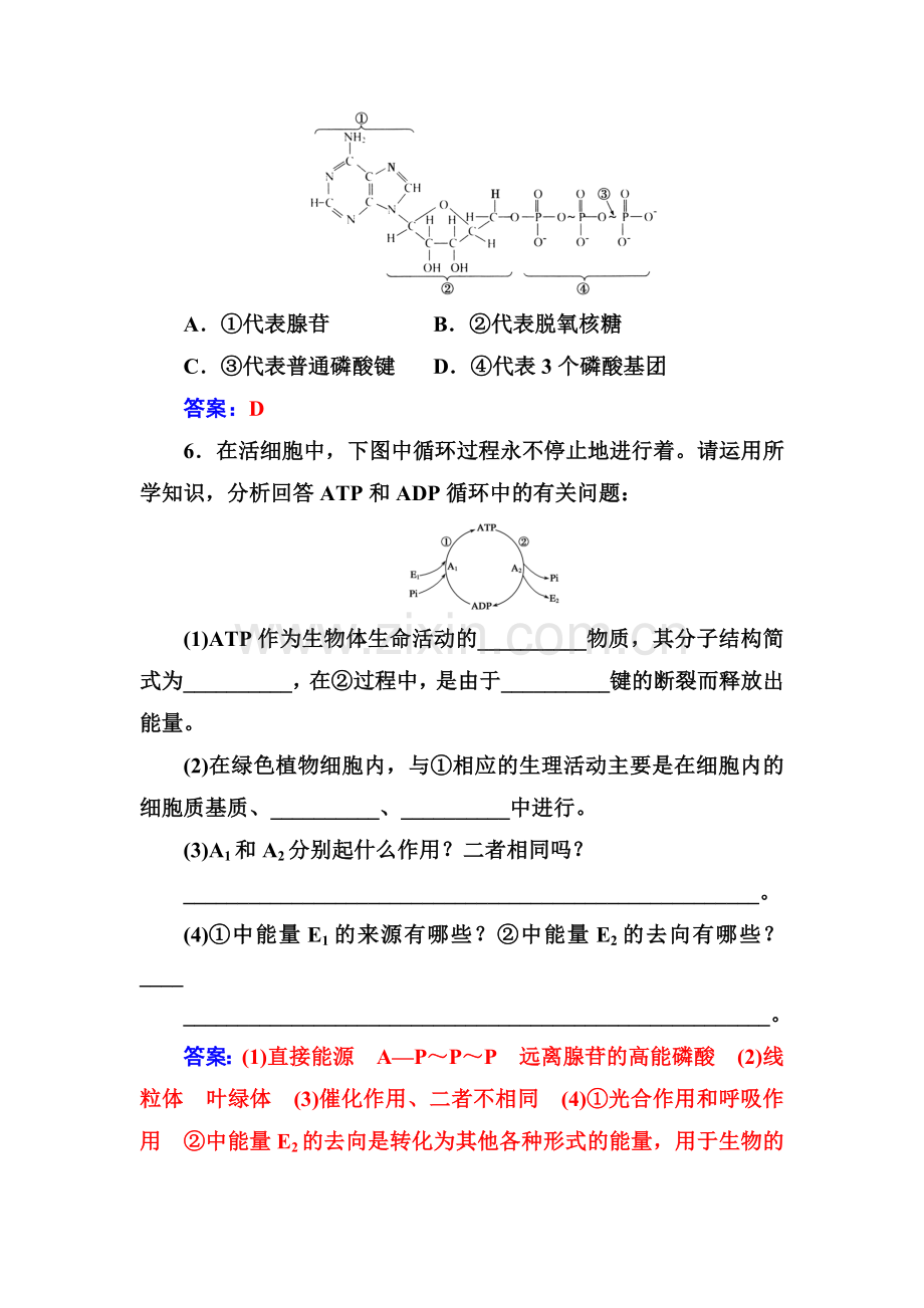 2016-2017高一生物上册课时模块综合检测题32.doc_第2页