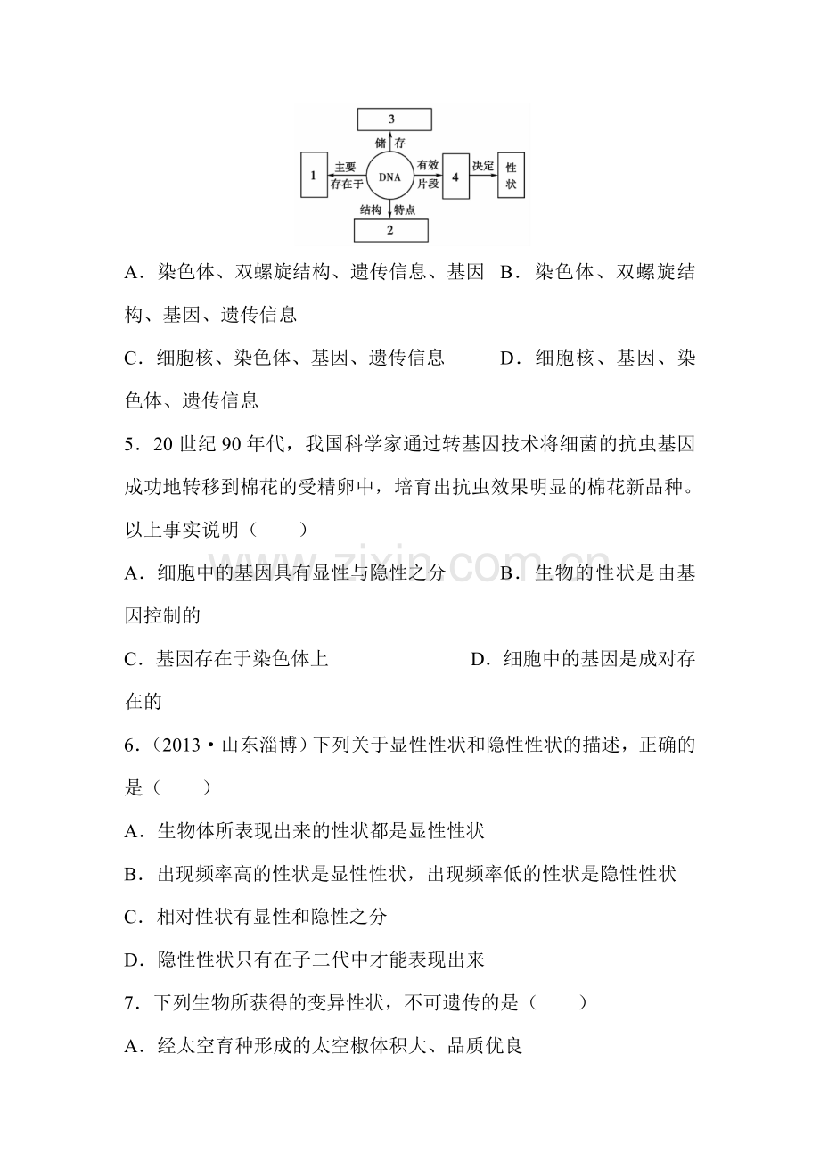 生物的遗传和变异检测题1.doc_第2页