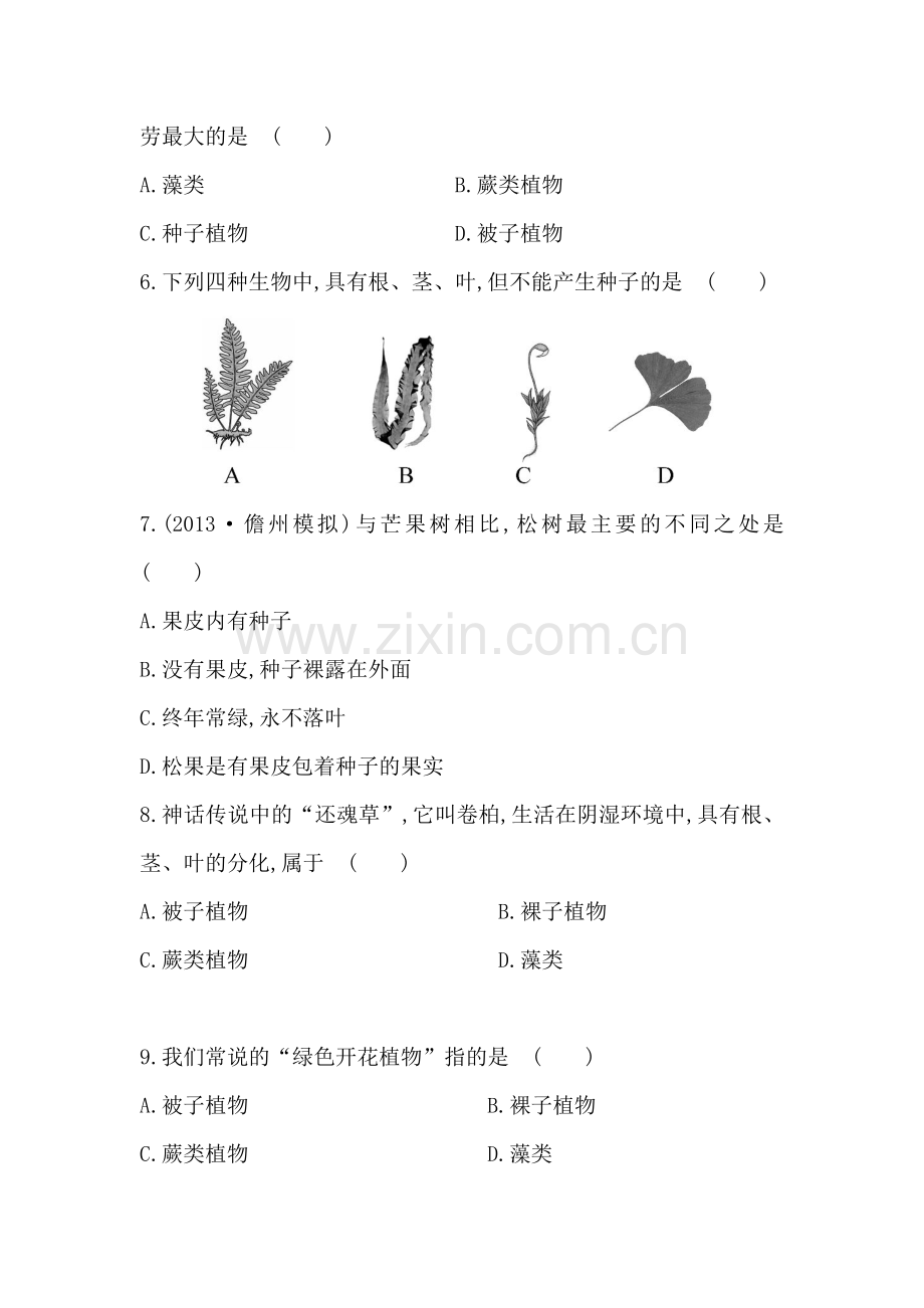 物种的多样性综合检测.doc_第2页