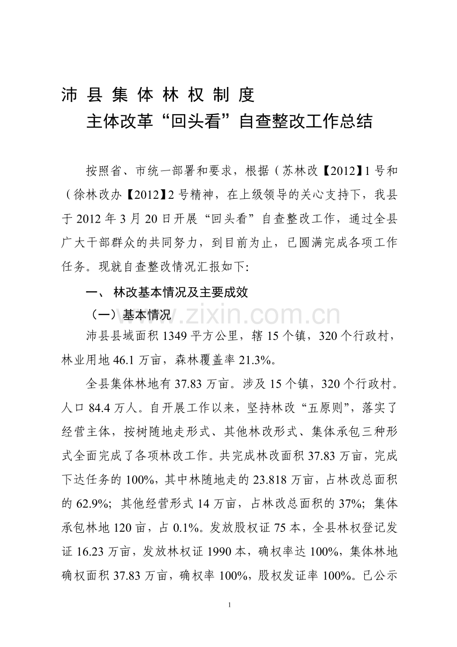 沛县集体林权制度主体改革自查工作总结.doc_第1页