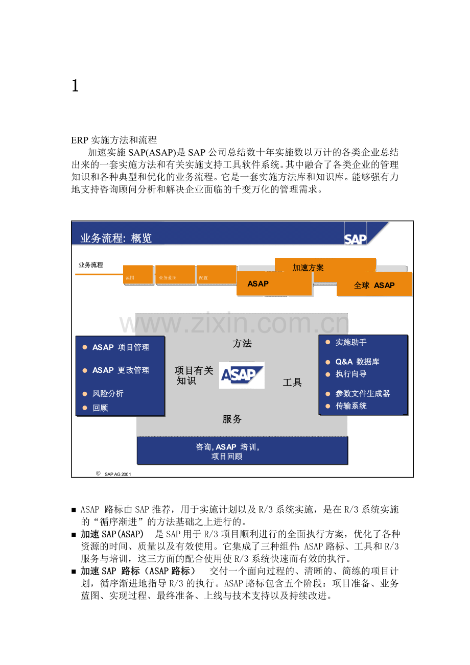 SAP实施方法和流程.doc_第1页