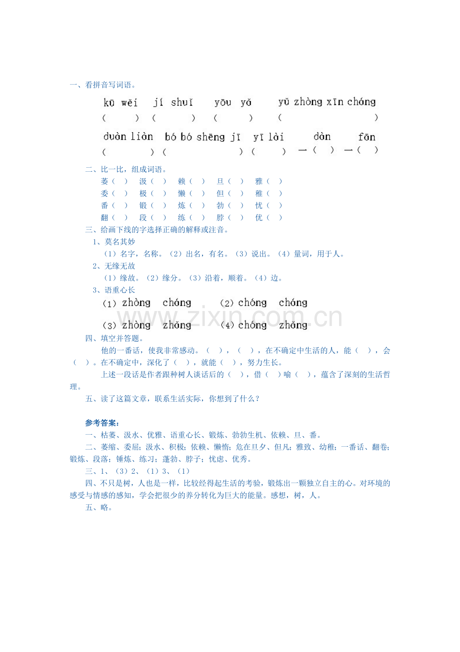 六年级语文桃花心木练习题10.doc_第1页