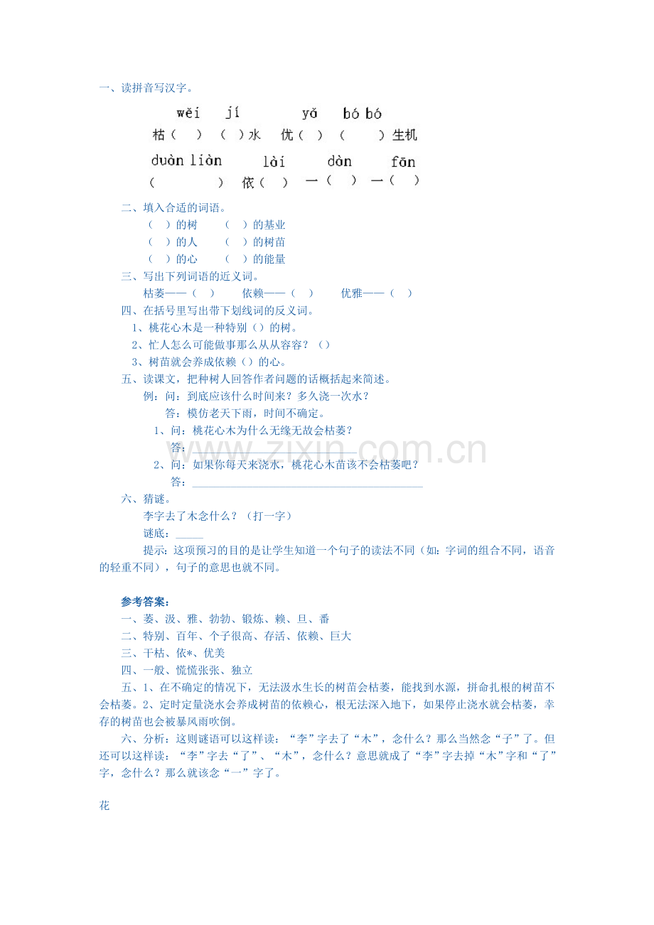 六年级语文桃花心木练习题10.doc_第2页