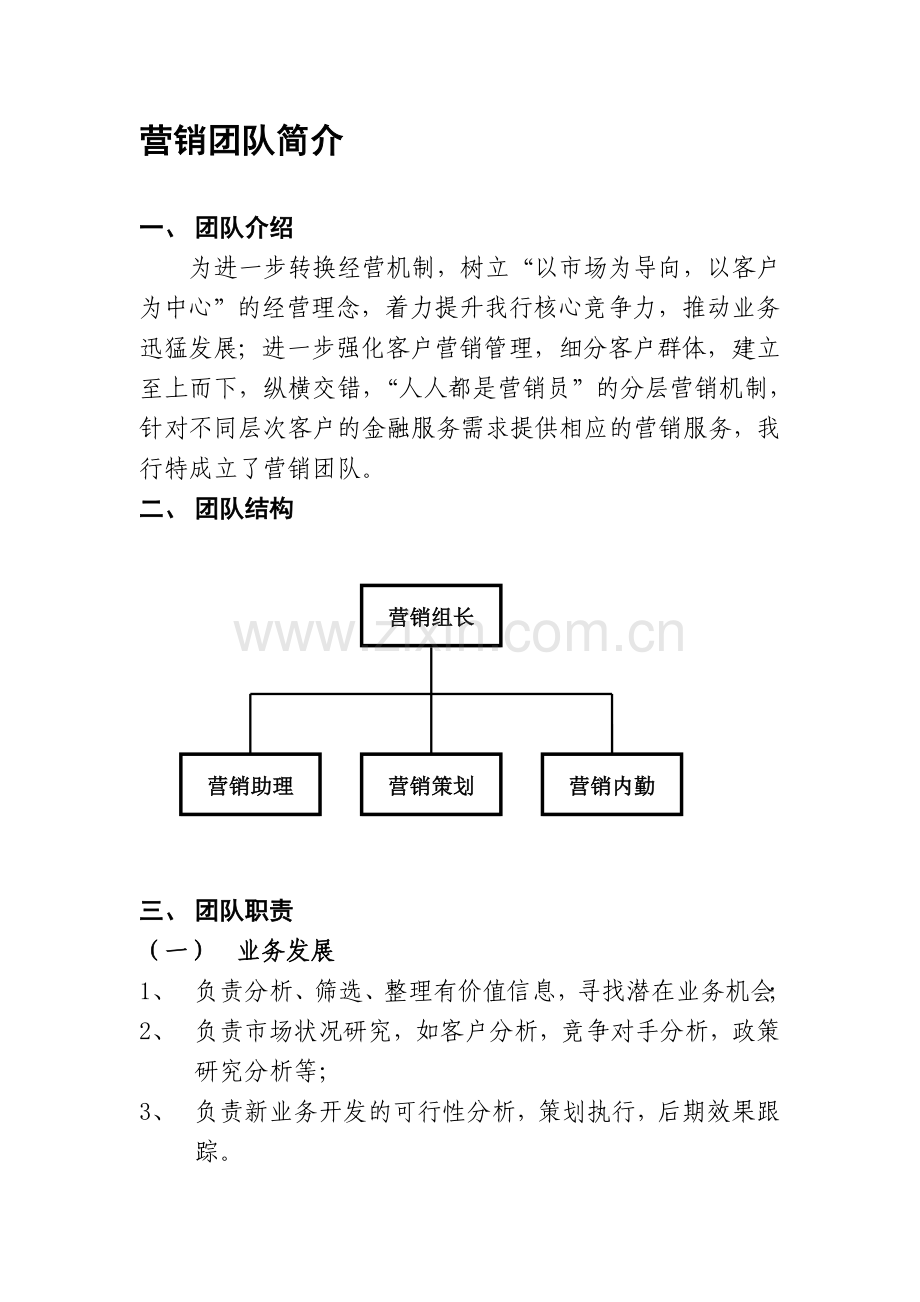 营销团队简介.doc_第1页