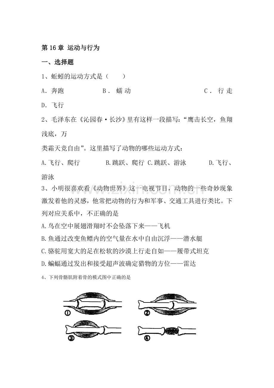 运动与行为单元测试.doc_第1页