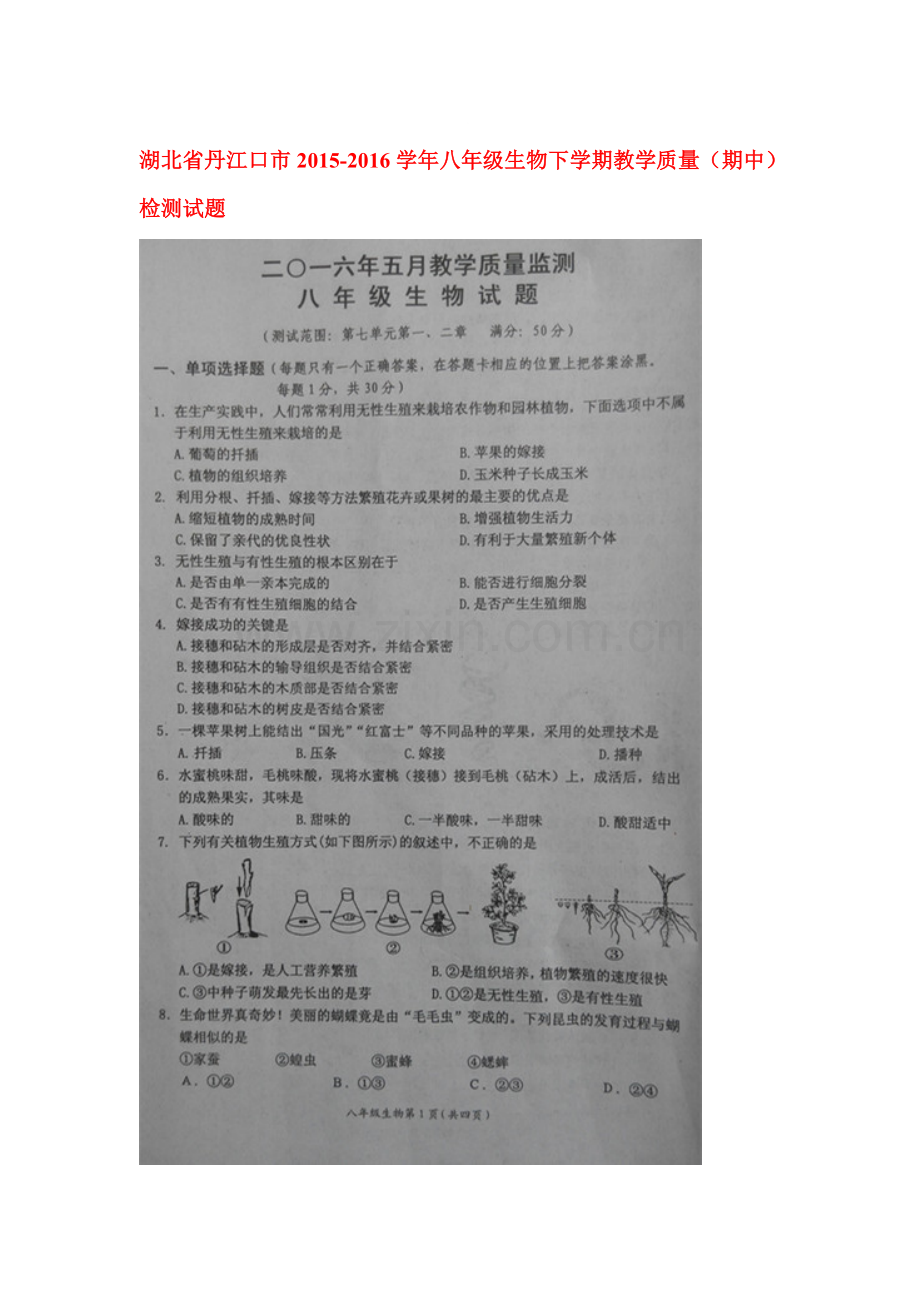 湖北省丹江口市2015-2016学年八年级生物下册期中试题.doc_第1页