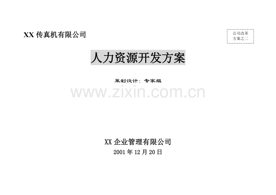 公司人力资源开发方案.doc_第2页