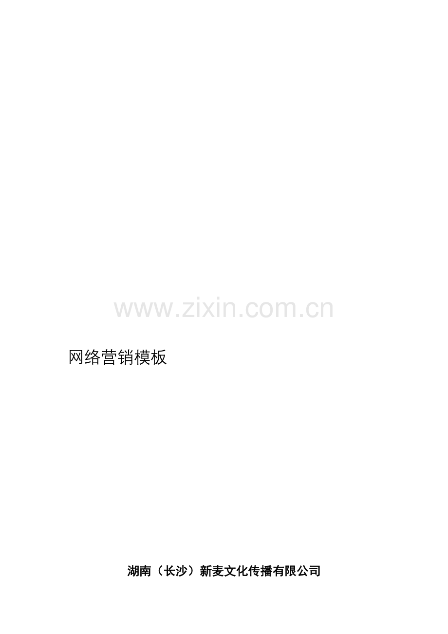 网络营销方案模板.doc_第1页