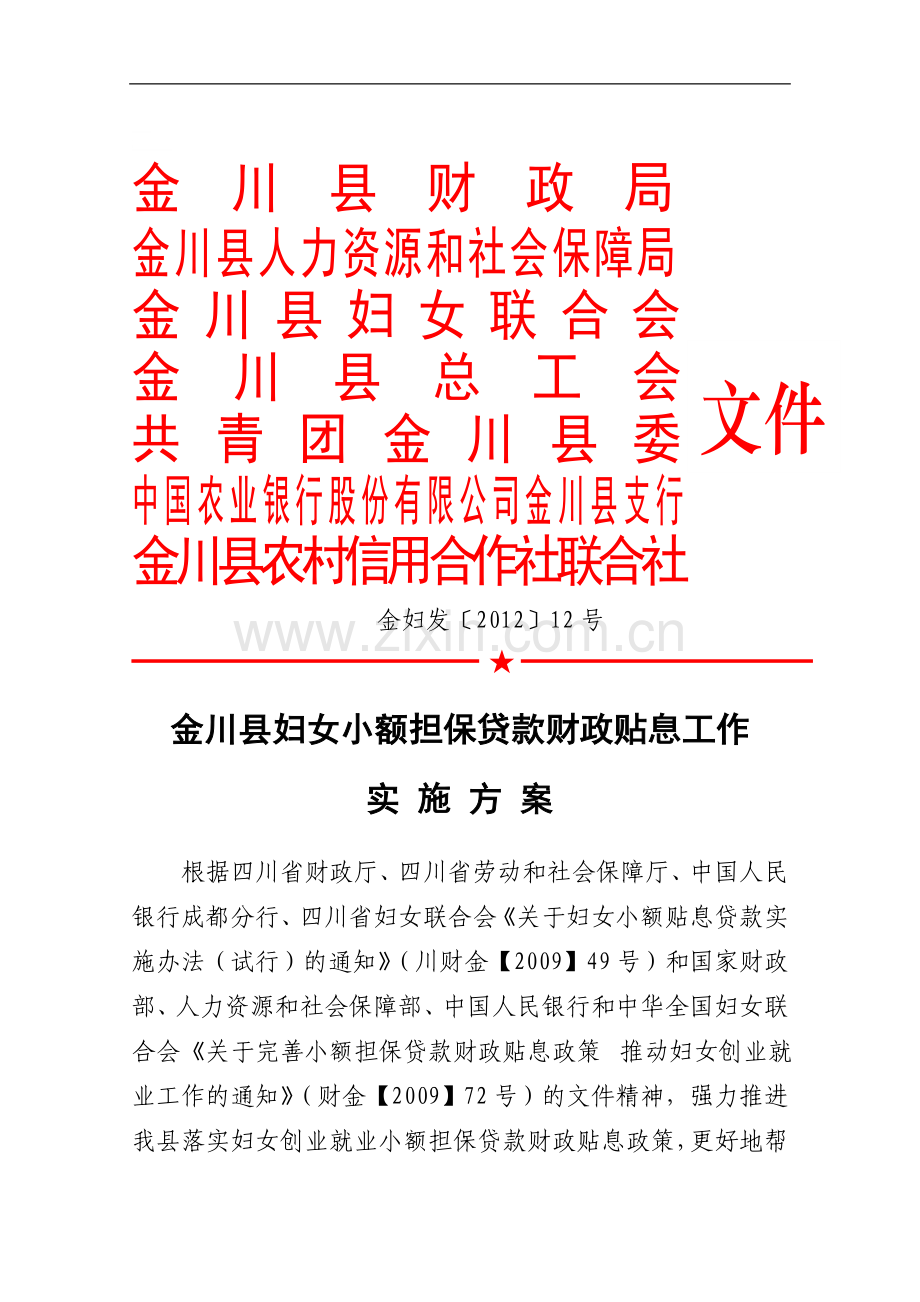 号(妇女小额担保贷款实施意见).doc_第1页