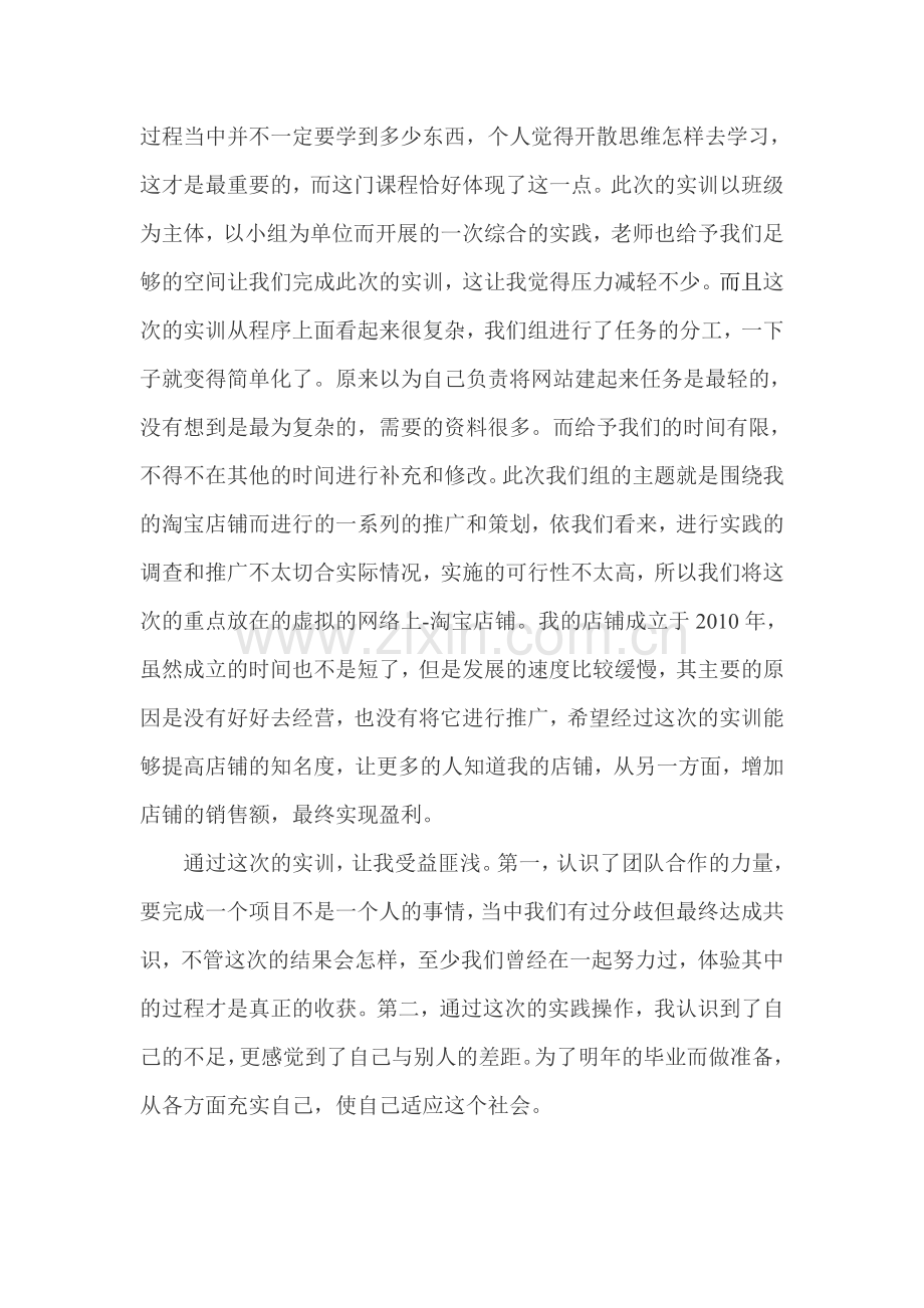 网络营销课程实训总结.doc_第2页