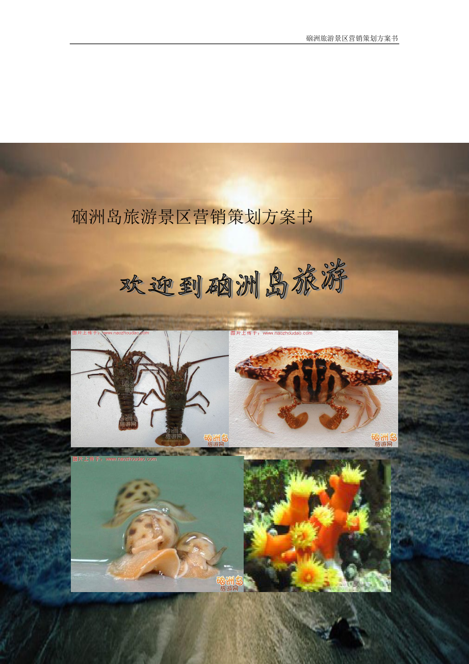 硇洲岛旅游景区营销策划方案书.doc_第1页