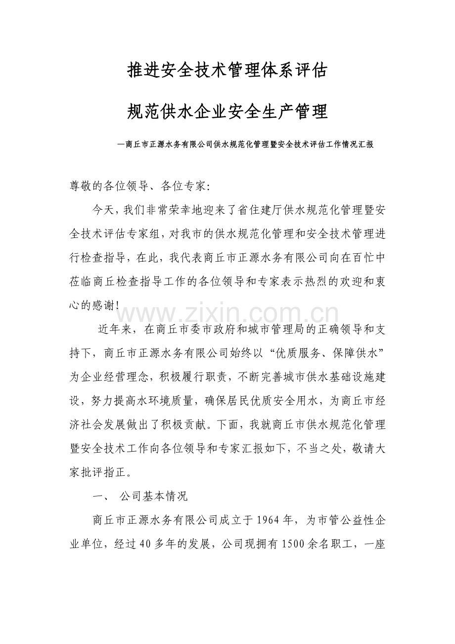 规范化管理汇报.doc_第2页