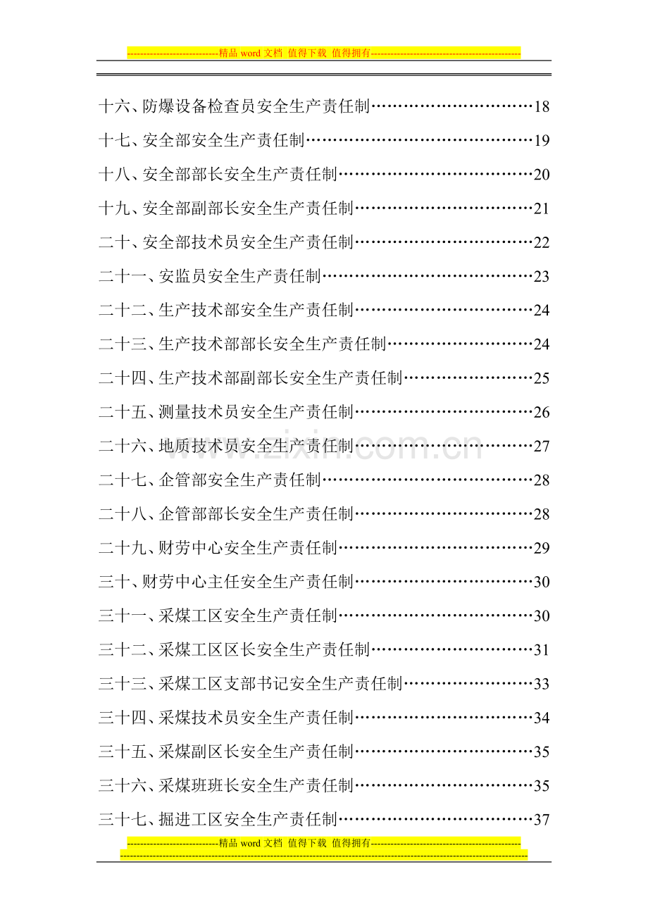 某煤矿公司各岗位安全生产责任制.doc_第2页