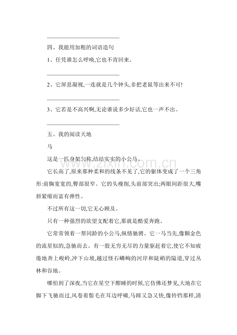 四年级语文猫练习题6.doc_第2页