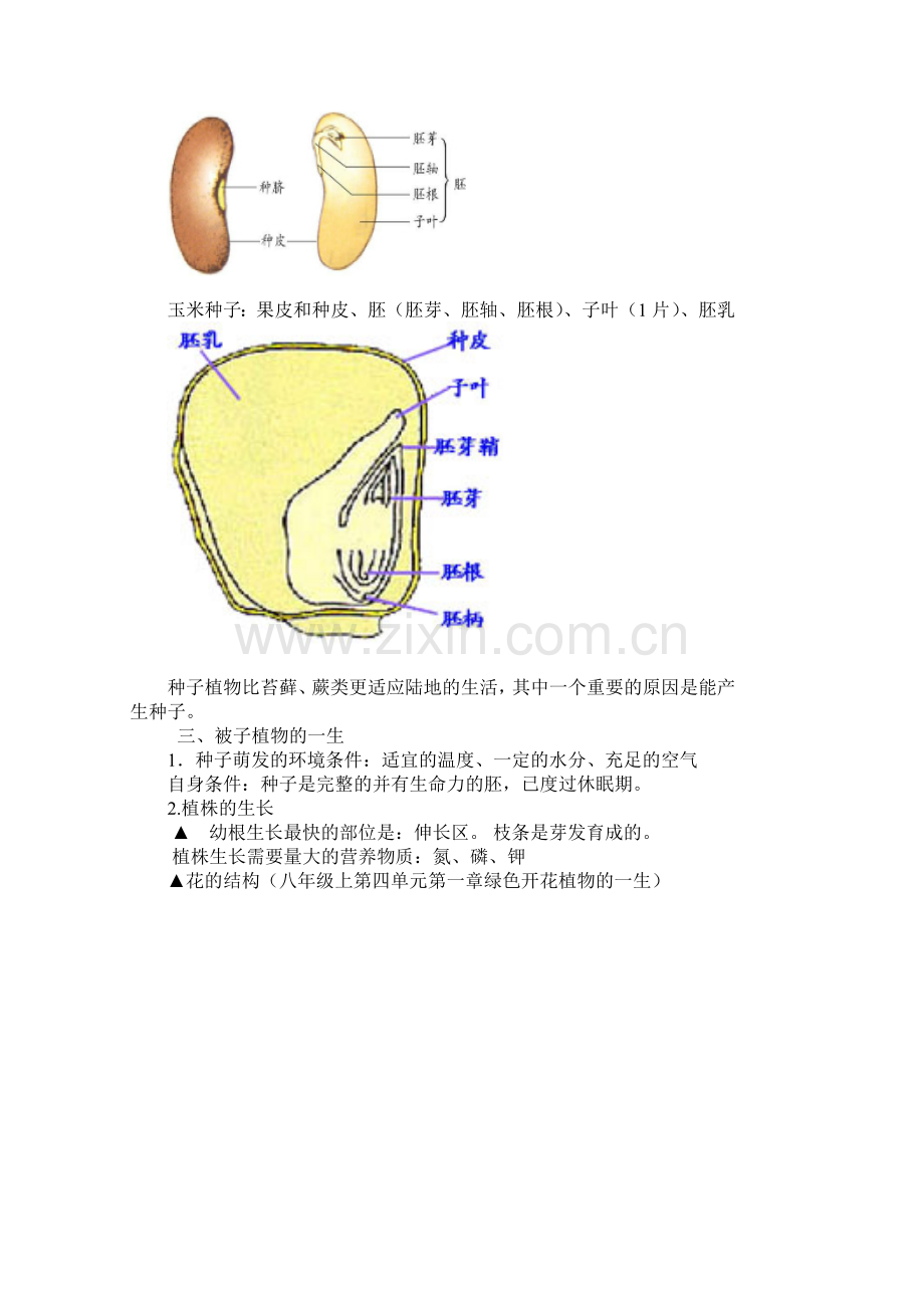 七年级生物上学期单元综合测试题20.doc_第2页