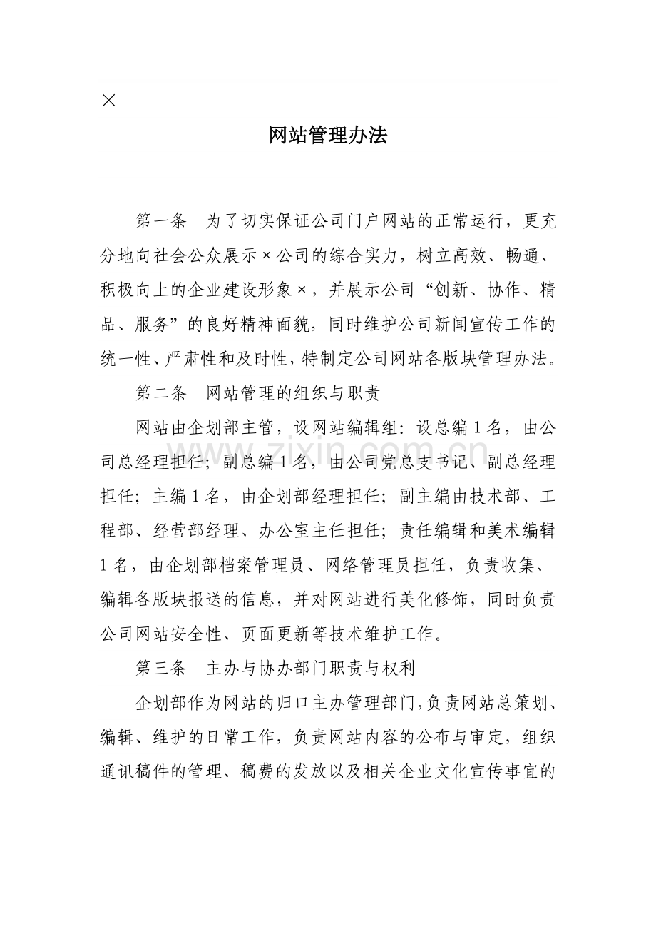 某某公司的网站管理制度.doc_第1页
