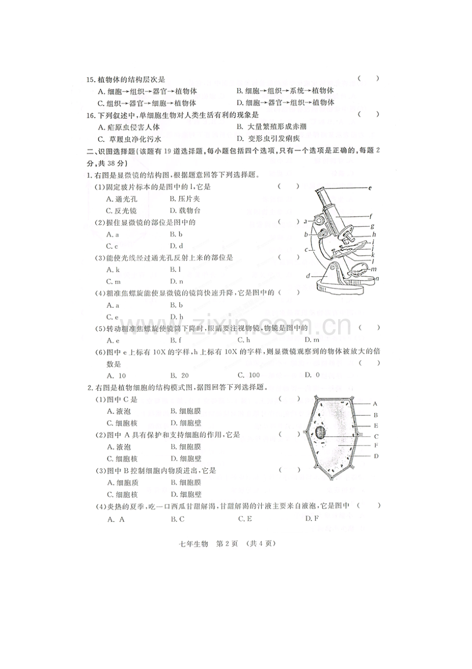 2015-2016学年七年级生物上册期中试卷3.doc_第2页