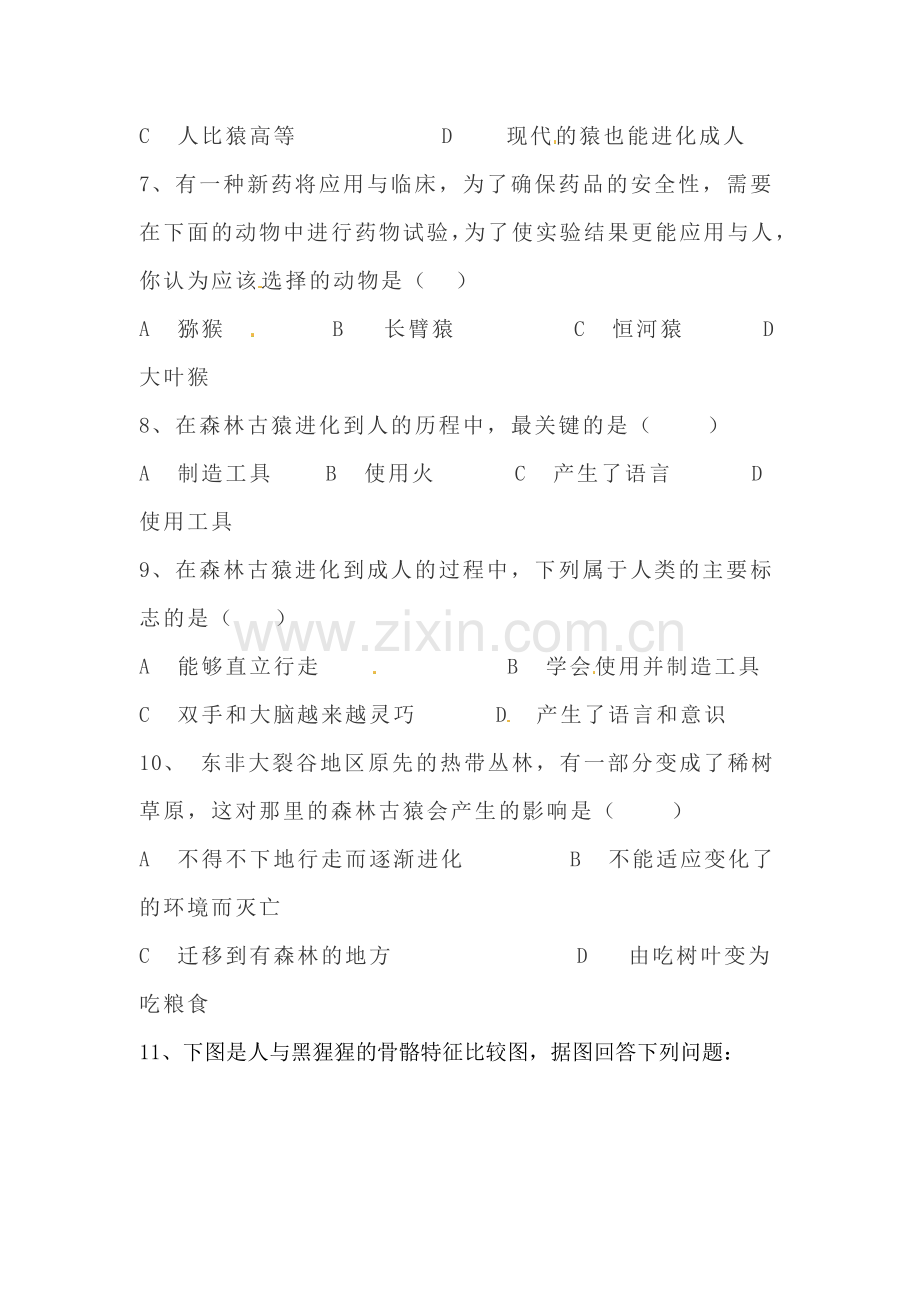 八年级生物人类的起源同步练习.doc_第2页