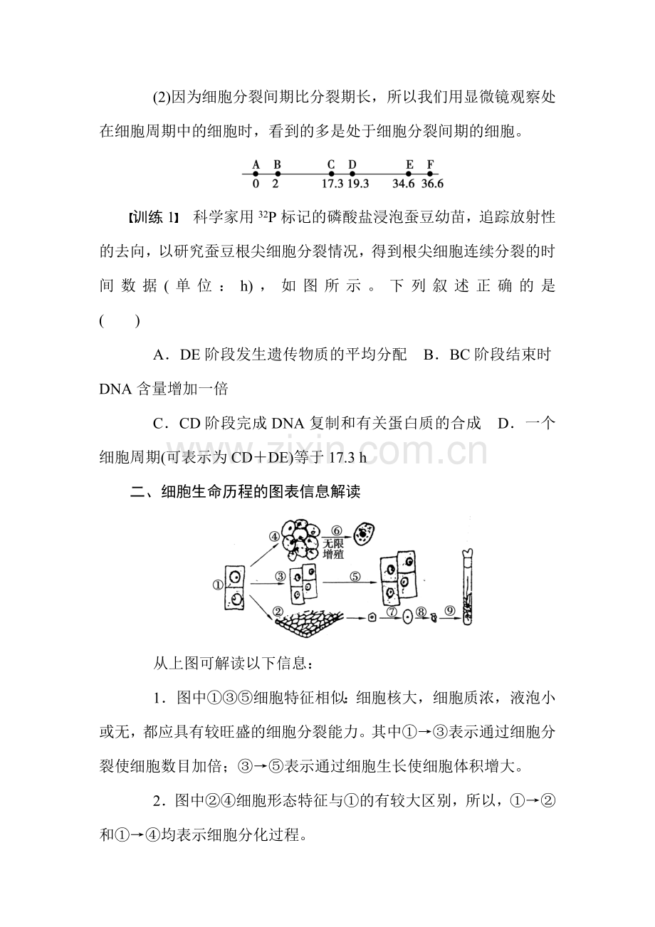 细胞增殖、分化、衰老和凋亡章末检测2.doc_第2页