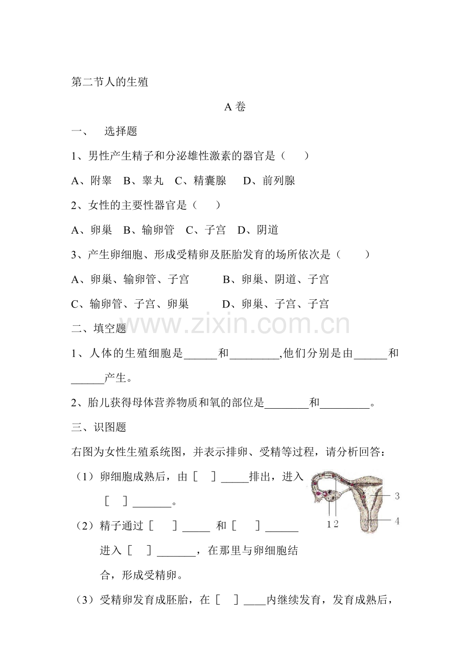 2015-2016学年七年级生物下册知识点同步检测试题18.doc_第1页