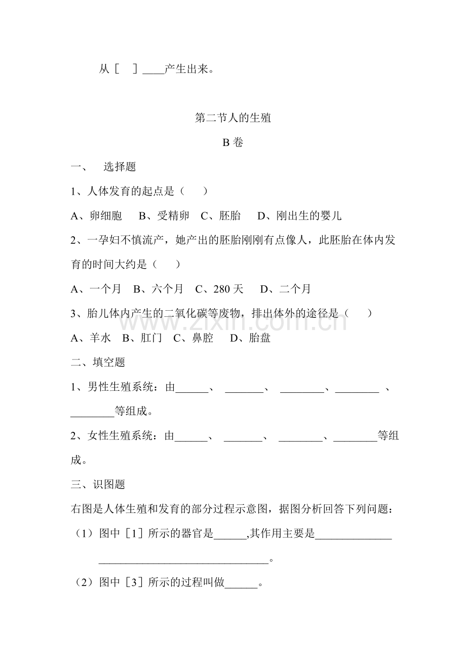 2015-2016学年七年级生物下册知识点同步检测试题18.doc_第2页