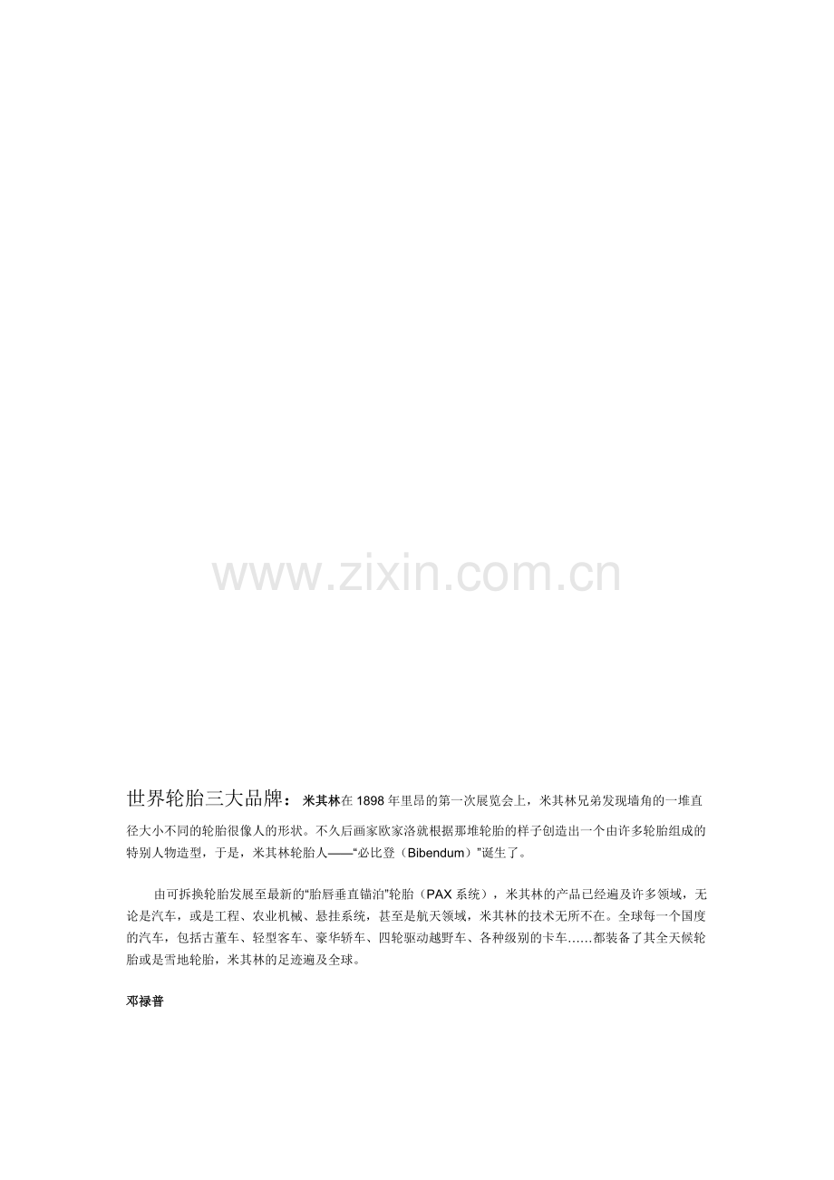 汽车轮胎营销企划书[1].doc_第2页