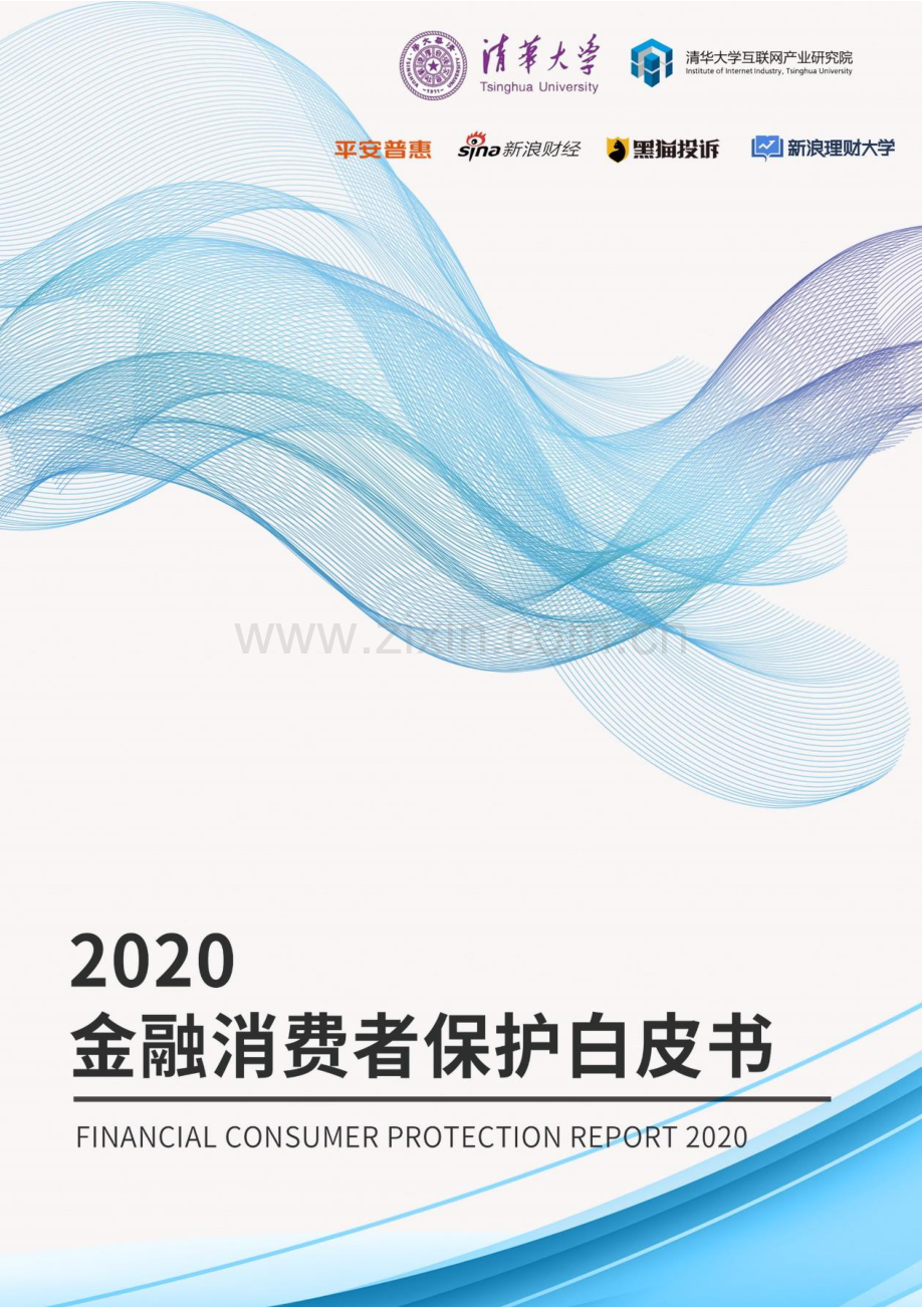 2020金融消费者保护白皮书.pdf_第1页
