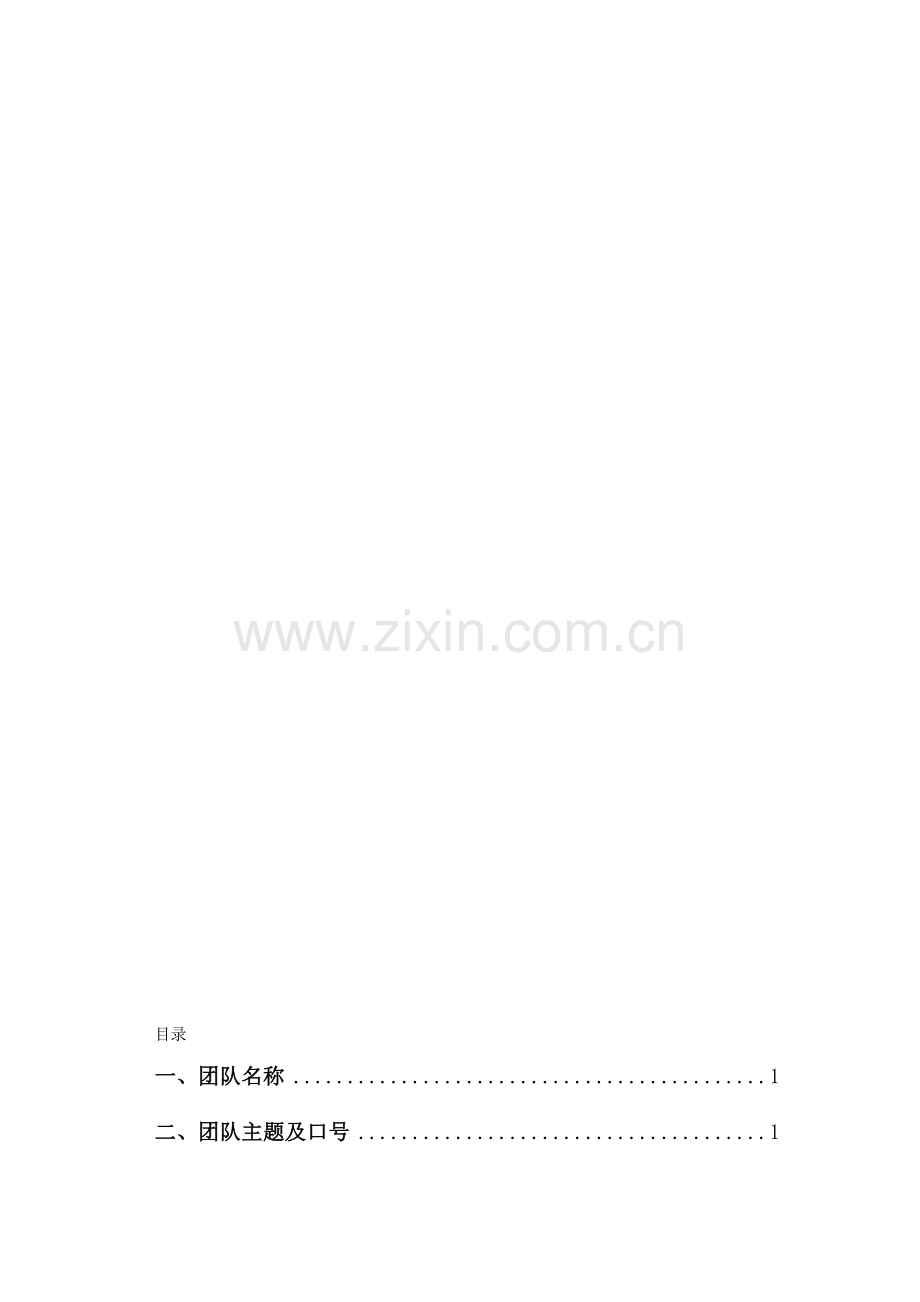 志愿者团队方案.doc_第1页