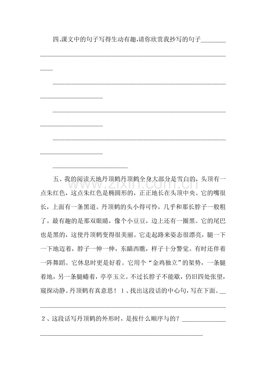白鹅练习题1.doc_第2页