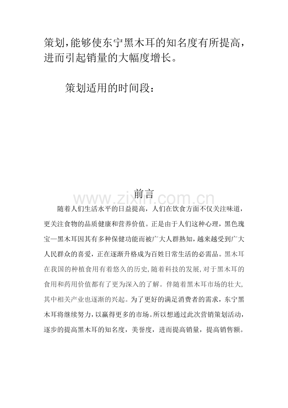 营销策划书—东宁黑木耳.doc_第2页