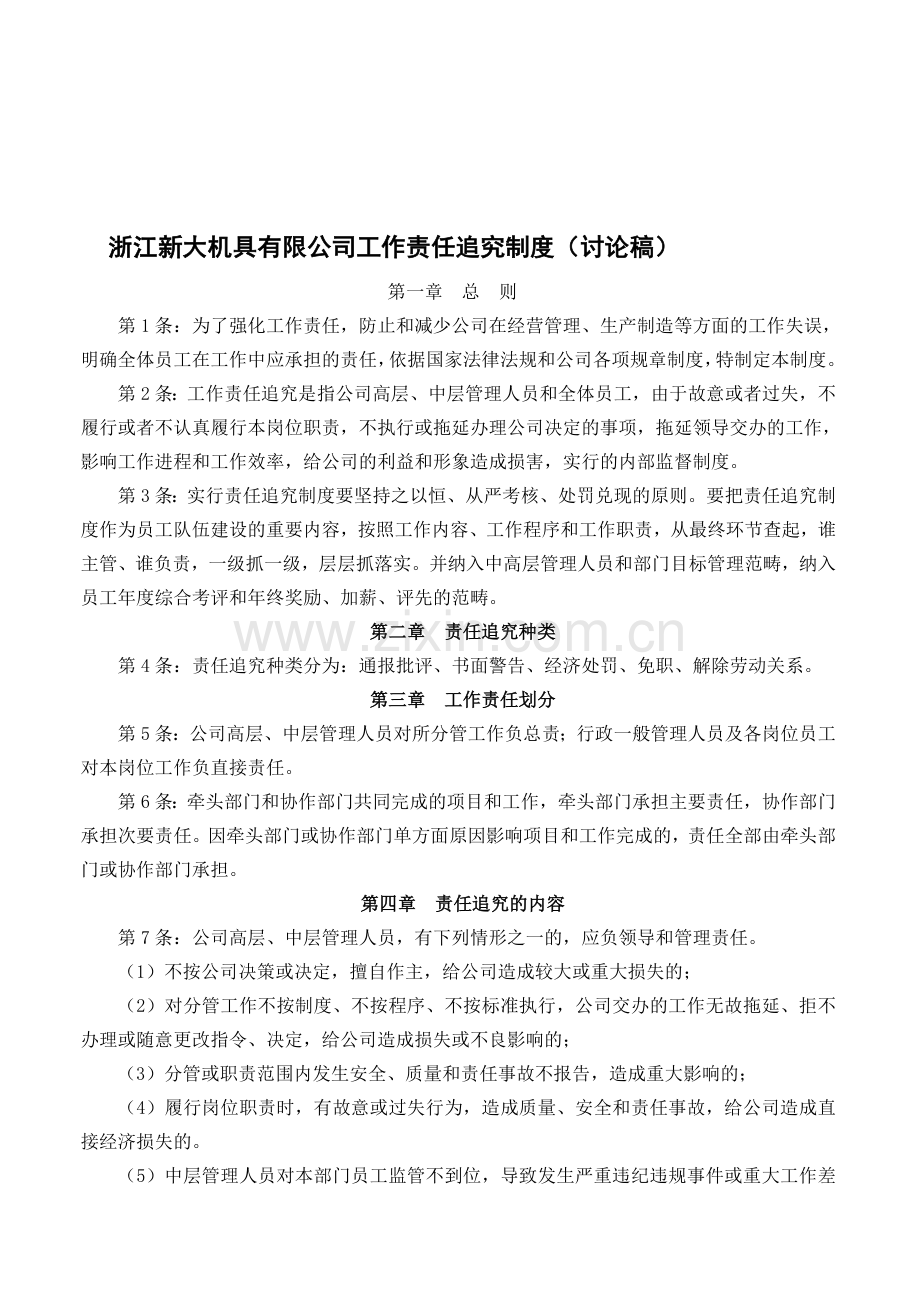 浙江新大责任追究制度.doc_第1页