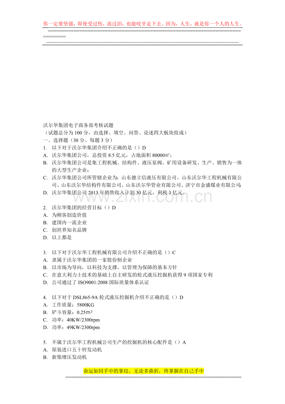 沃尔华集团电子商务部考核试题..doc_第1页