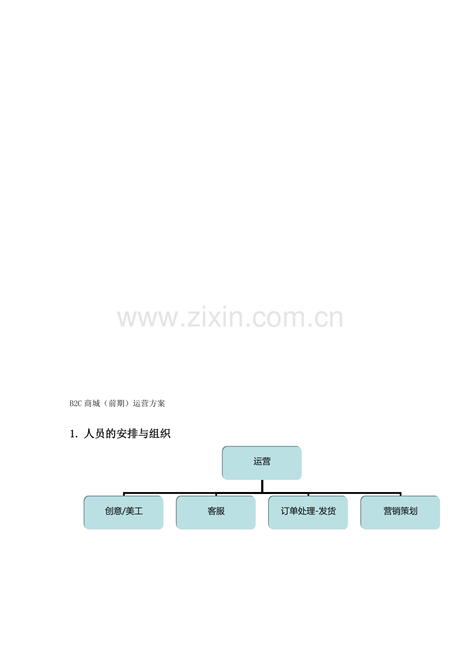 B2C商城前期-运营方案.doc_第1页