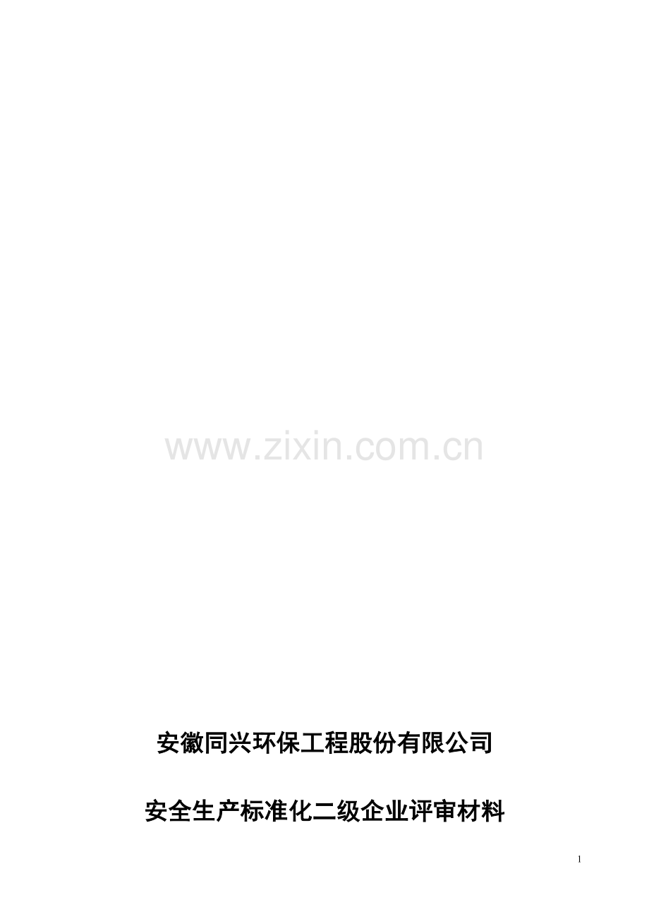 协会评审报告.doc_第1页