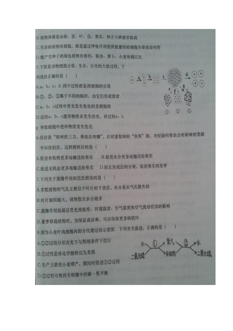 山东省德州市庆云县2015-2016学年七年级生物上册期末考试题.doc_第2页