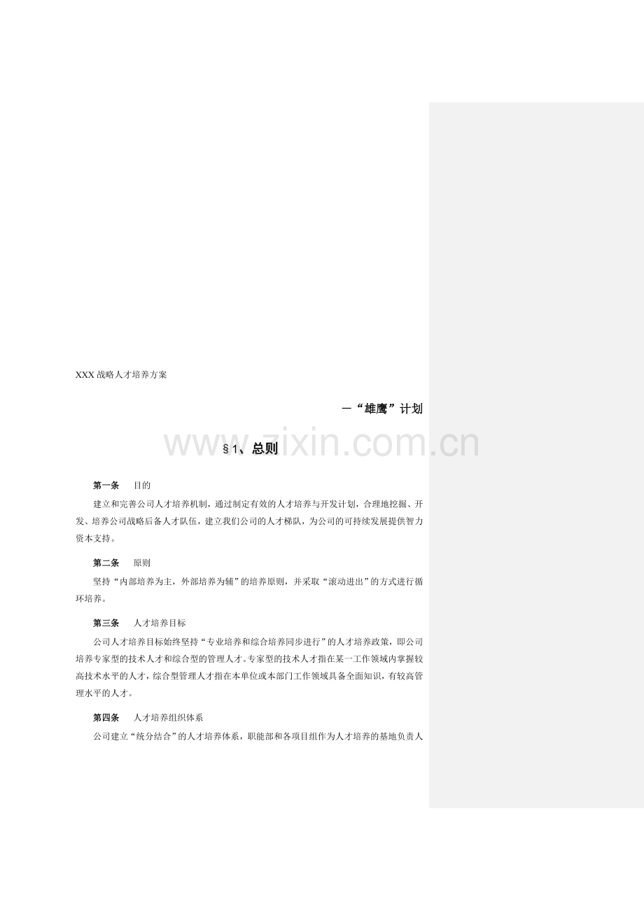 战略人才培养方案.doc_第1页